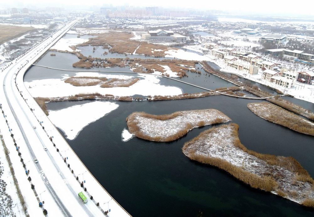 张掖|甘肃张掖：雪落湿地景色美