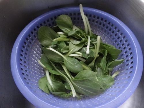 青菜|炒青菜，下锅前必须多加这1步，青菜不变黄，跟饭店一样的味道