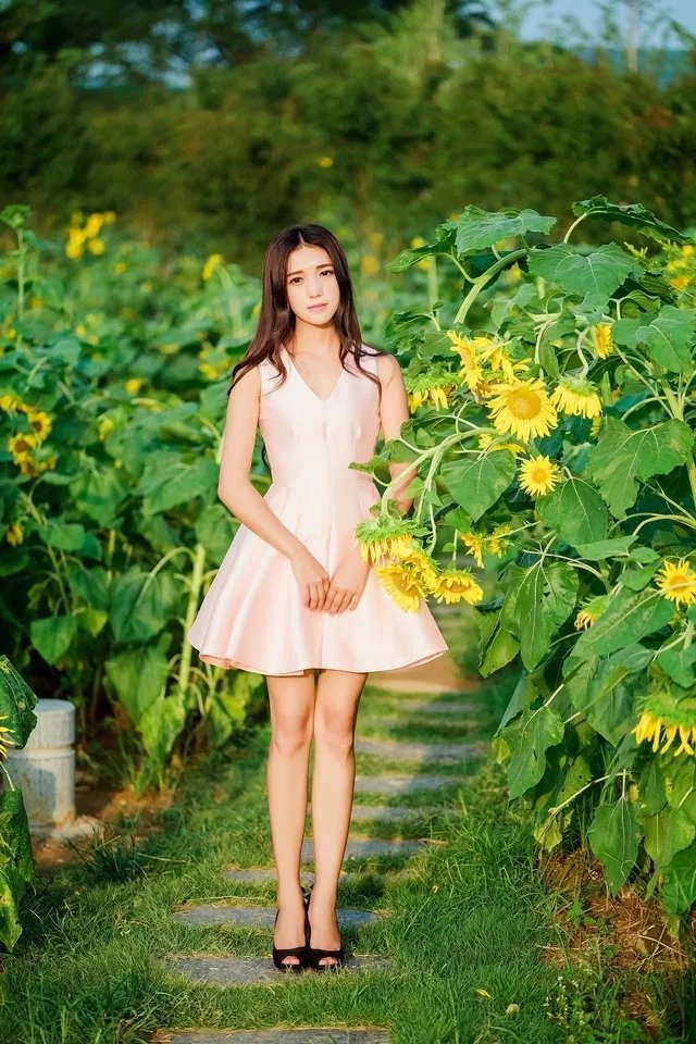 锦绣未央|七月,锦绣未央