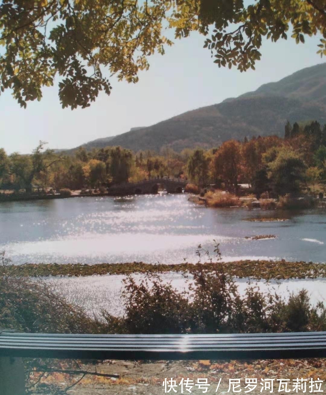 世态炎|文艺星空丨宋名竞诗歌丨七绝 . 秋日遣怀(六首)