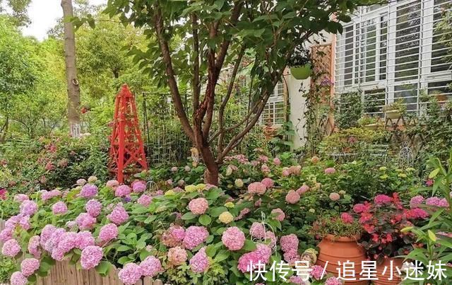 有了30平方的小院,能将日子过成了诗简单而精致,优雅而从容