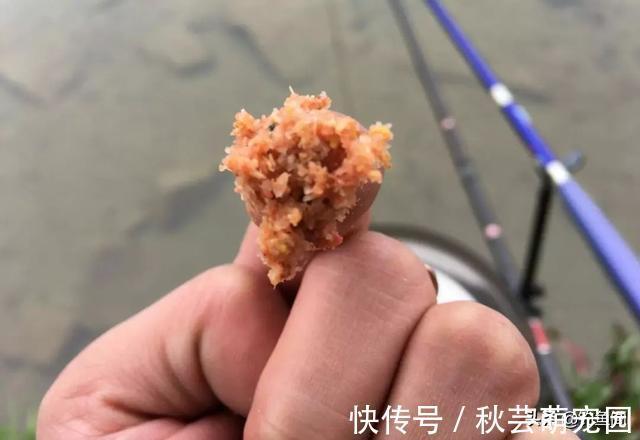 鱼口|轻口鱼难钓?按我的方法做一钓一个准,再小的口也能逮住