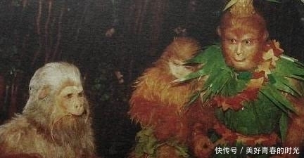 孙悟空乃猴子成精,沙僧是什么成精?难怪能成为流沙河的霸主