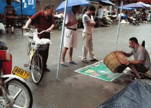 |搞笑GIF：真是一枚灵活的胖子，镇住了所有人