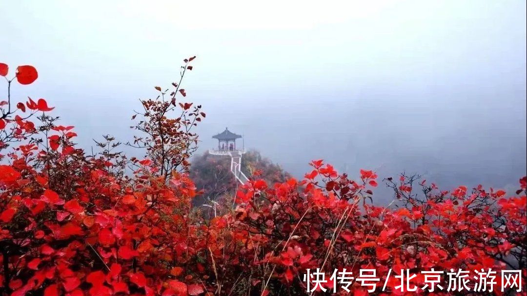 秋天|11月份“爱在深秋”，京郊这些人少景美的地方藏着秋天的爱