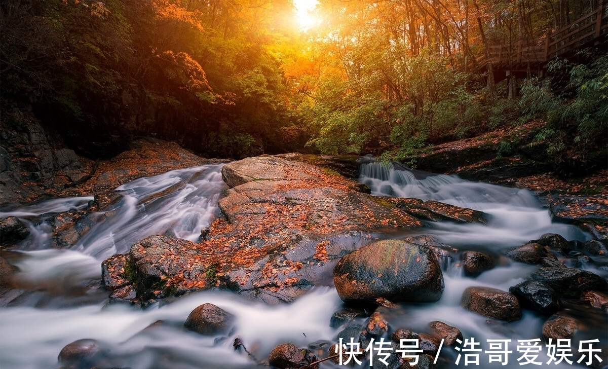 胡杨林|适合金秋季节出行的八大景点，秋色美游客少，11月就这样安排吧