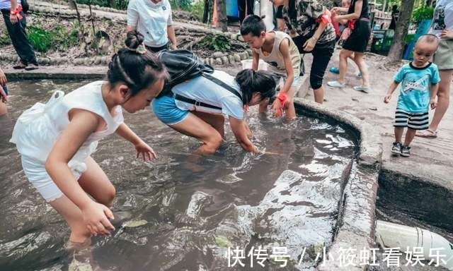 大沟|「峨眉山大沟」寻一处天然纳凉地