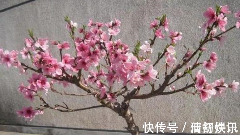 宋代!宋代“厚脸皮”诗人,写的这诗他儿子都看不下去,他却因此成名了