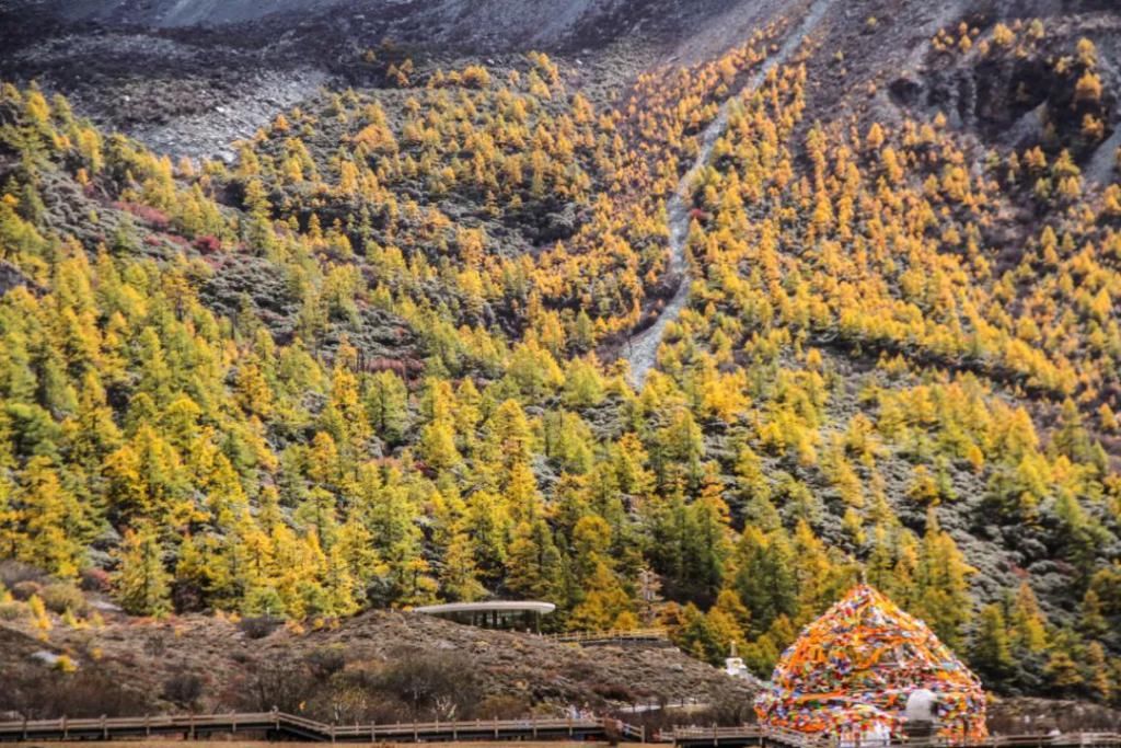 那片理想乐土|中国又一“人间天堂”爆火！左手峡谷，右手雪山！