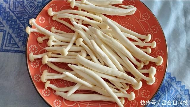 西红柿鸡蛋炒白玉菇,营养丰富,好吃又下饭