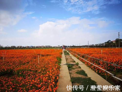 羊男|吃醋起来比女人还厉害的四大生肖男，十分在意对方，没安全感