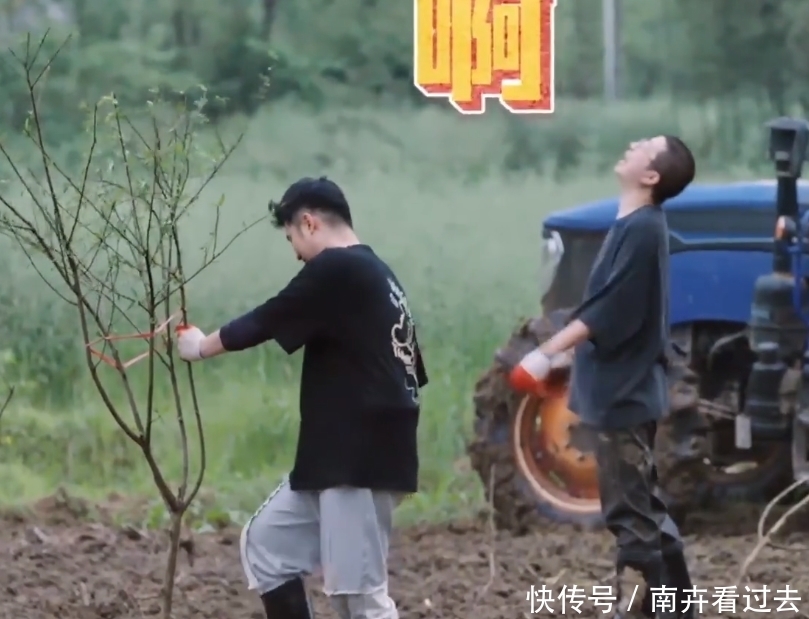 李诞|陈赫和李诞怎么了,努力制造节目效果,反而引起何炅与黄磊的反感