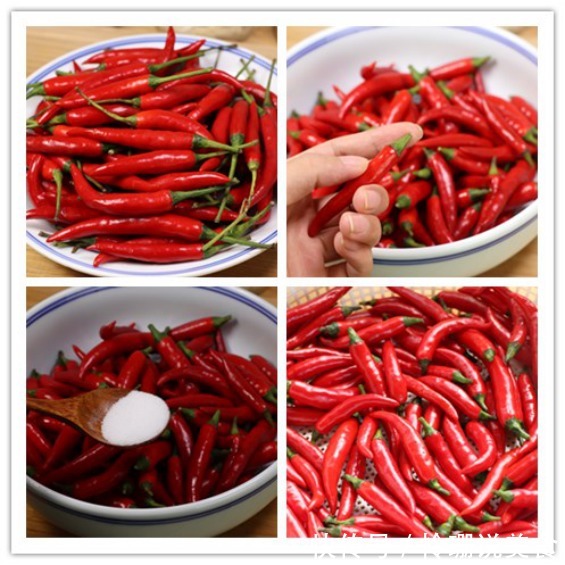 小米椒保存,最忌直接放冰箱,菜农教我一招,放一年都不坏特新鲜!