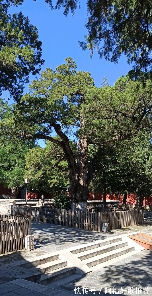 大觉寺|莱芜人在北京：游西山大觉寺