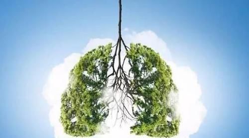 生活习惯|肺部病变,睡眠先知!睡觉时若没有这3种表现,说明肺还很健康!