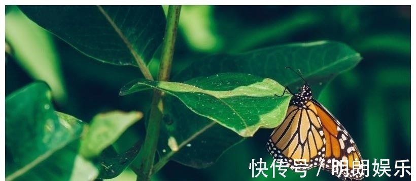 星座|未来一周,遇真爱,月老点名,爱情随之即来身边的4大星座
