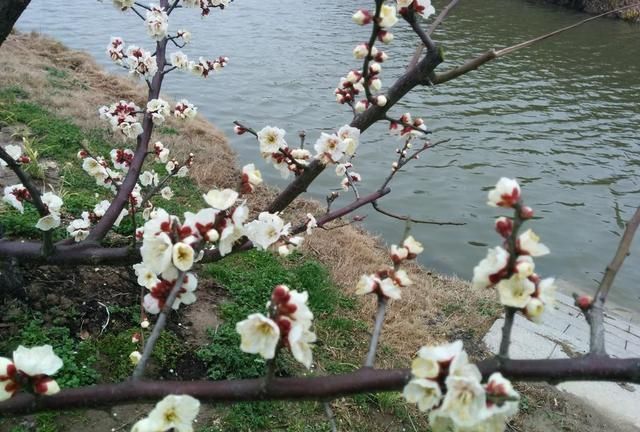 3首冷门元宵节古诗，呈现热闹气息，古今同乐乐未央