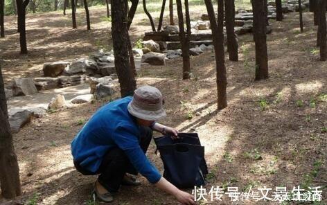 户外捡3种东西,养花肥沃、透气,1-2年不施肥,花卉轻松爆盆