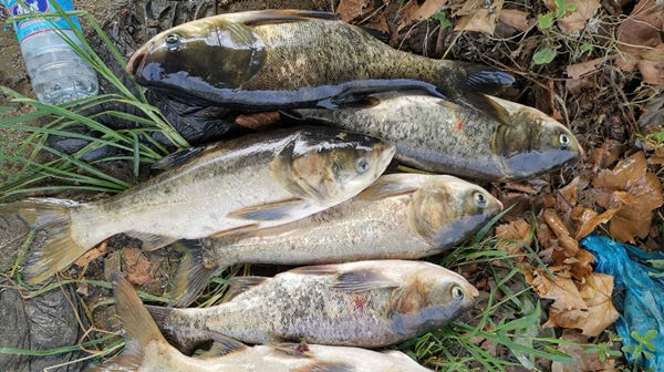 钓鱼技巧观星识鱼,钓鱼人的必修课,熟练掌握渔获倍增