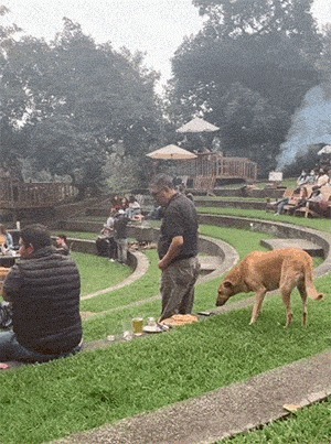 |搞笑GIF:美女这表情真是丰富啊,不去当演员亏了啊