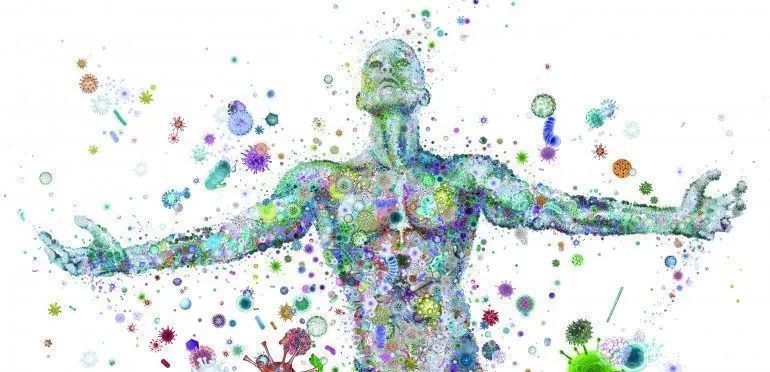 碳水化合物|你在为谁吃饭?看懂了就知道人为什么会生病 (1)