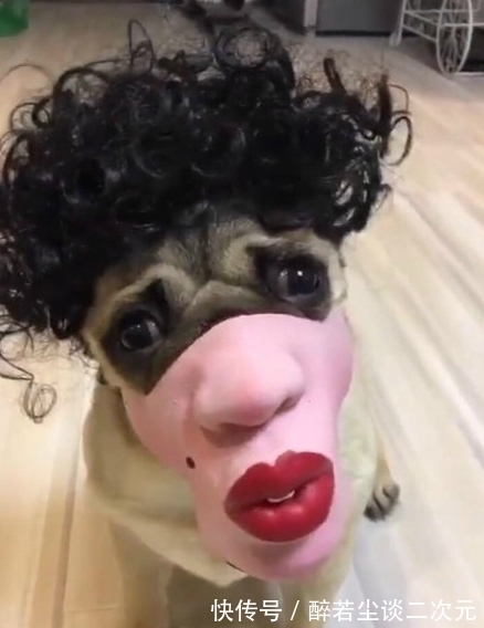 |搞笑图片：好烦啊，做个仰卧起坐都难，好难受哦