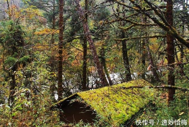 又美又神奇，然而却头号坑爹的景点，海螺沟必须榜上有名