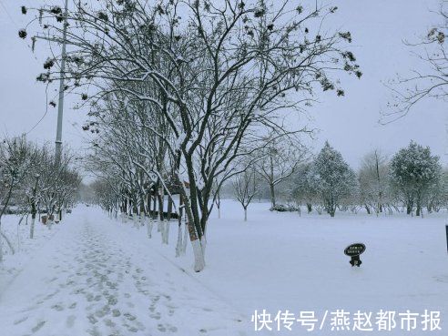 柏林公园|雪后的石家庄柏林公园景色有多美，大家一起来看看吧