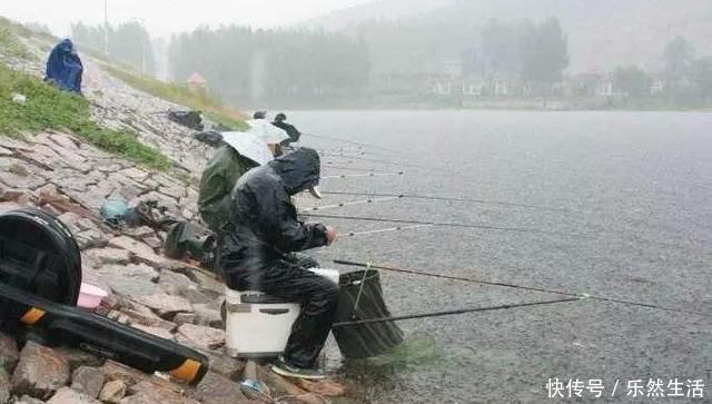 垂钓|钓鱼鲫鱼都分布在哪里，有什么需要注意的地方吗