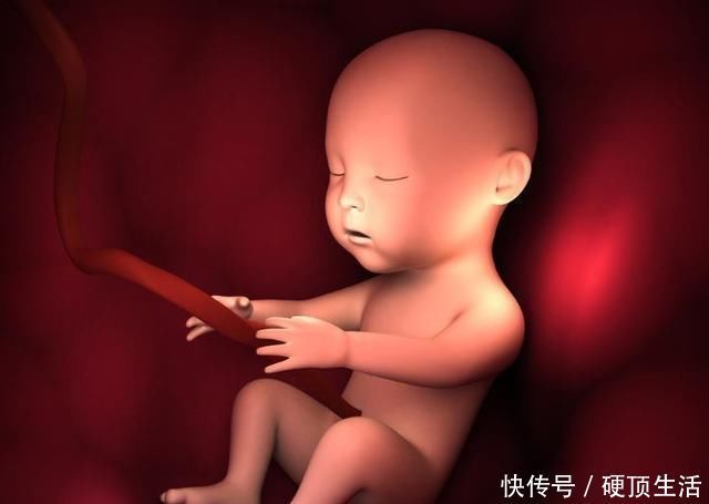 循环研究|胎儿竟会在肚子里偷偷“保护”妈妈,这些暖哭了的表现你知道吗?