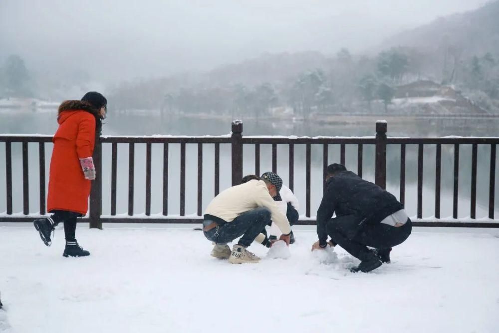 下雪|太美了！月坝下雪啦，刷爆朋友圈！