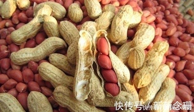 苦杏仁|孕期吃坚果好处多,但这2种不要吃,可能会阻碍胎儿发育