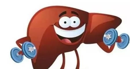 养肝|它是天然“护肝王”，常吃去火养肝，促进消化还清除肝脏垃圾