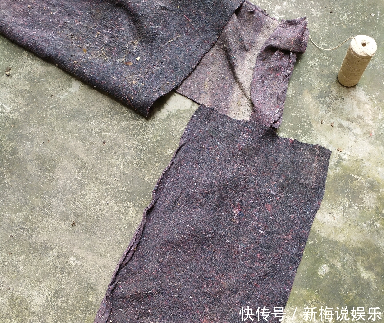 绿萝树|制作绿萝柱的简易教程,把绿萝养成绿萝树,绿萝也能玩出高大上