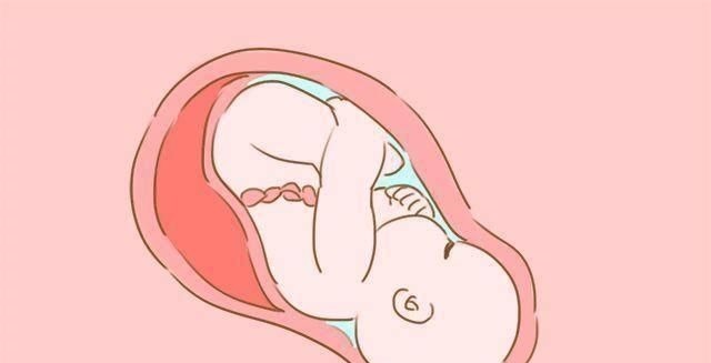 阵痛|生孩子疼的主要是哪些部位不是肚子,你可别弄错了