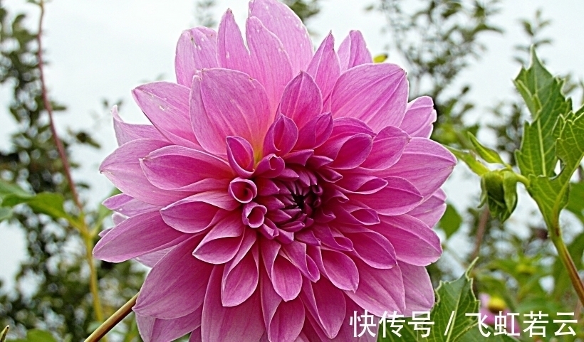 幸福的感觉|15天后,命运天定,工作提升,再度和好,真情不负,挽回旧爱