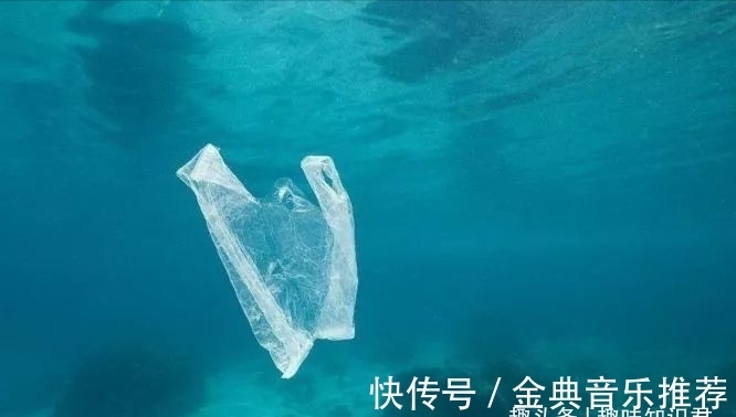 鲁迅|8条有趣的冷知识分享，奇怪的知识又增加了！