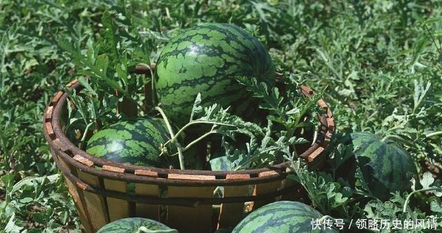 朱元璋在路边吃瓜,边吃边夸瓜农的瓜甜,刚走百米却下令杀了他!