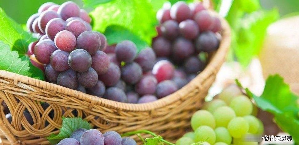 水果|怀孕期间,这种水果孕妈要舍得吃,对自己和孩子都有好处,别错过