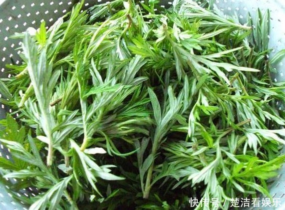 她天天吃幼嫩艾草葉,半個月后身體發(fā)生神奇變化,值得所有人借鑒