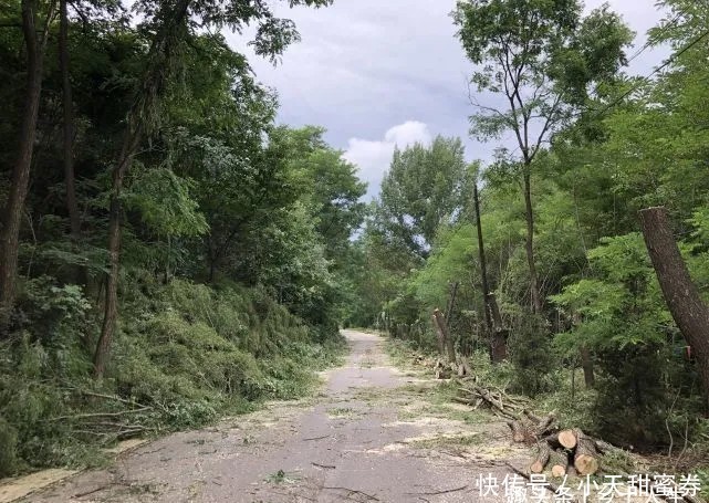 老话说:“男修车前马后,女修产前产后”,你知道是什么意思吗?