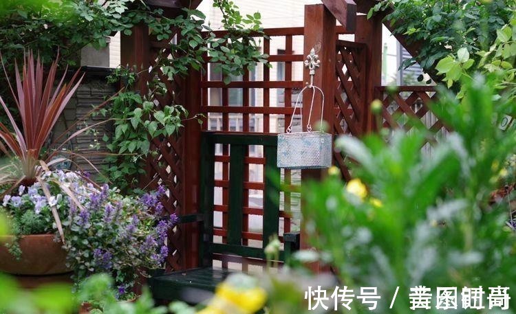 花园|荒废多年的80㎡小院,2年半时间打造成下沉式花园,太漂亮了!