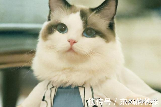 |幽默笑话:二十八了还没有找到女朋友,老妈气得强迫着我去相亲