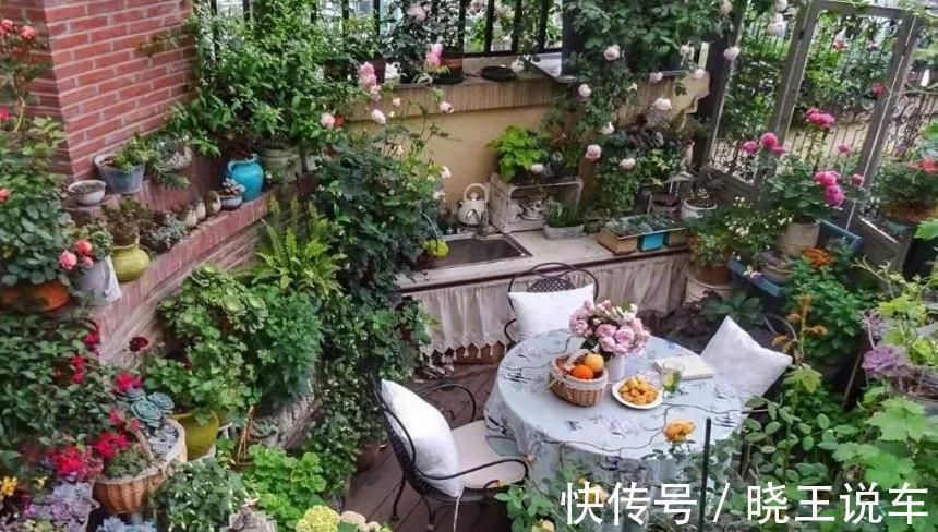 掌握住5个技巧,有没有经验无所谓,却能轻松养好花