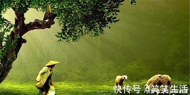 锦囊@方是做人脊梁,圆是处世锦囊:悟透这三句话,帮你混得风生水起