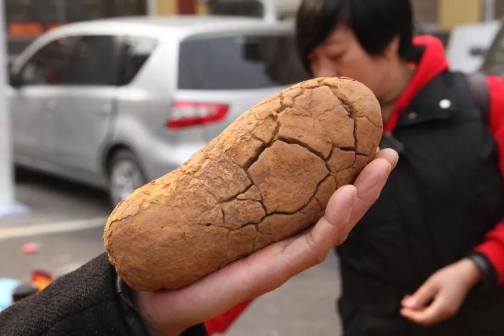 陨石|“群星”在故都闪耀——第四届临淄齐国商城陨石展