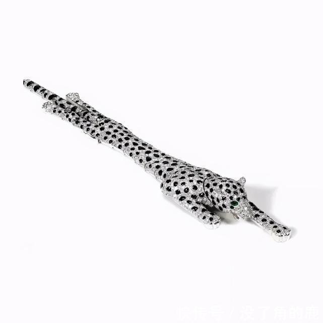 豹子|卡地亚的豹子宝格丽的蛇,大牌为什么要和凶残动物搞组合