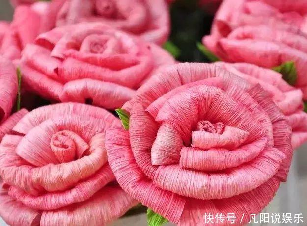 玉米棒子扔盆里,洒点水就发芽了,7天长一把绿苗!