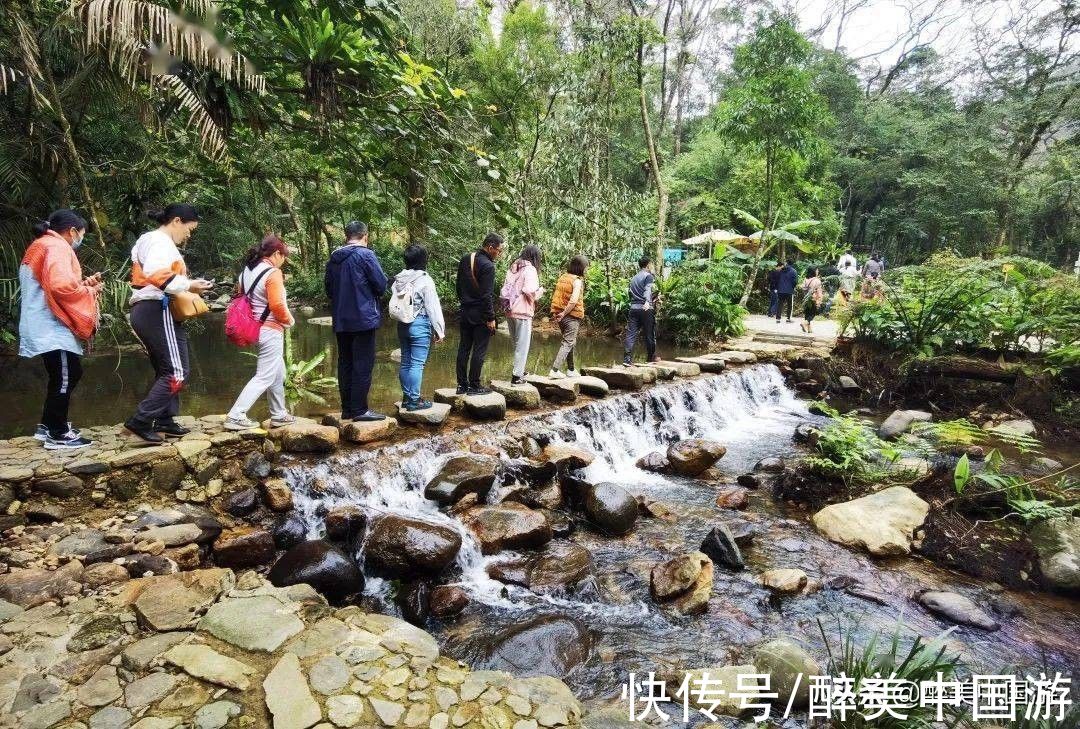 瀑布|探访百花岭热带雨林文化旅游区，古木参天，瀑布高悬，风光旖旎