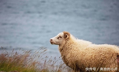 生肖龙生肖龙|天天忙数钱，不出三天喜上喜！6月中头奖、发大财，横财接二连三